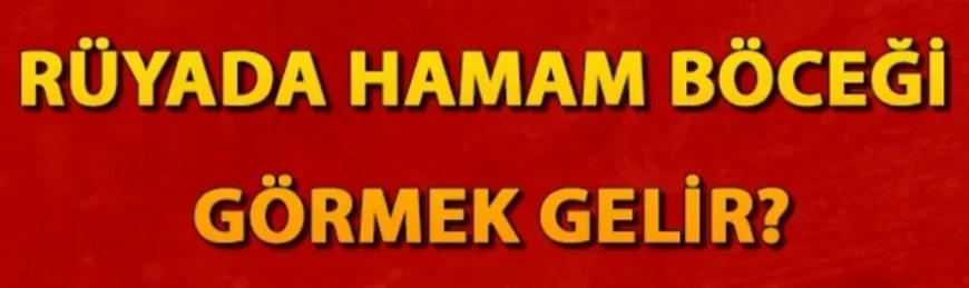 Rüyada hamam böceği görmek ne anlama gelir? Rüyada hamam böceği öldürmek