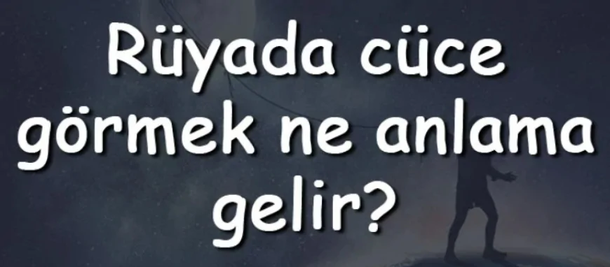 Rüyada cüce görmek ne anlama gelir? Rüyada cüce kovalamak ve saldırması