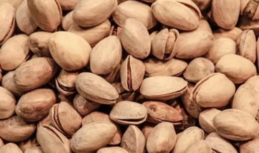 Rüyada Antep Fıstığı Görmek Ne Anlama Gelir? Rüyada Antep Fıstığı Ayıklamak Ve Dalından Yemek Anlamı