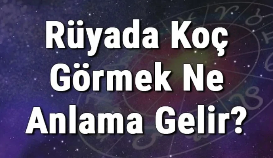 Rüyada Koç Görmek Ne Anlama Gelir? Rüyada Koç Kesmek Ve Sevmek