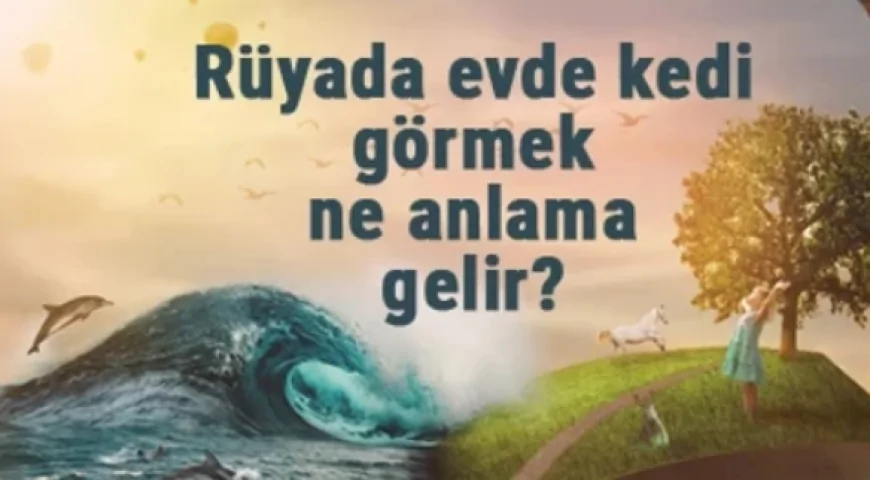 Rüyada evde kedi görmek ne anlama gelir? Rüyada evde kedi yavrusu beslemek ve sevmek