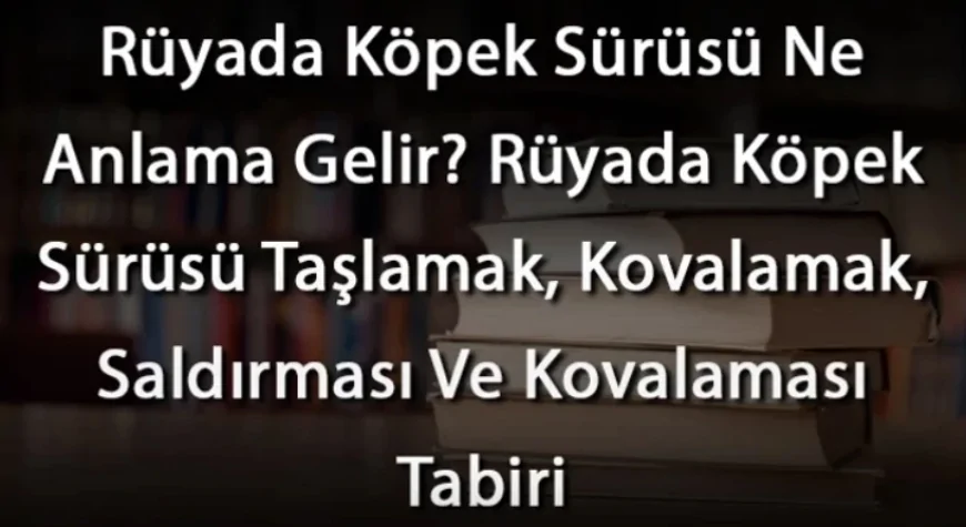 Rüyada Köpek Sürüsü Ne Anlama Gelir? Rüyada Köpek Sürüsü Taşlamak, Kovalamak, Saldırması Ve Kovalaması