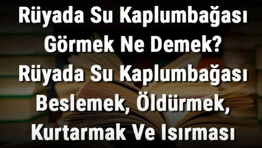 Rüyada Su Kaplumbağası Görmek Ne Demek? Rüyada Su Kaplumbağası Beslemek, Öldürmek, Kurtarmak Ve Isırması Anlamı