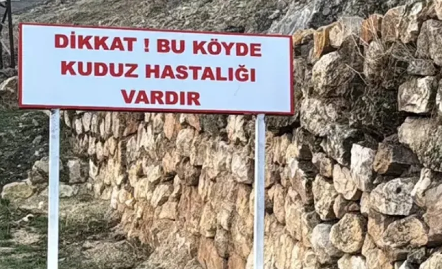 Bitlis'in Adilcevaz İlçesinde Kuduz Vakası: Kömürlü Köyü Karantinaya Alındı!