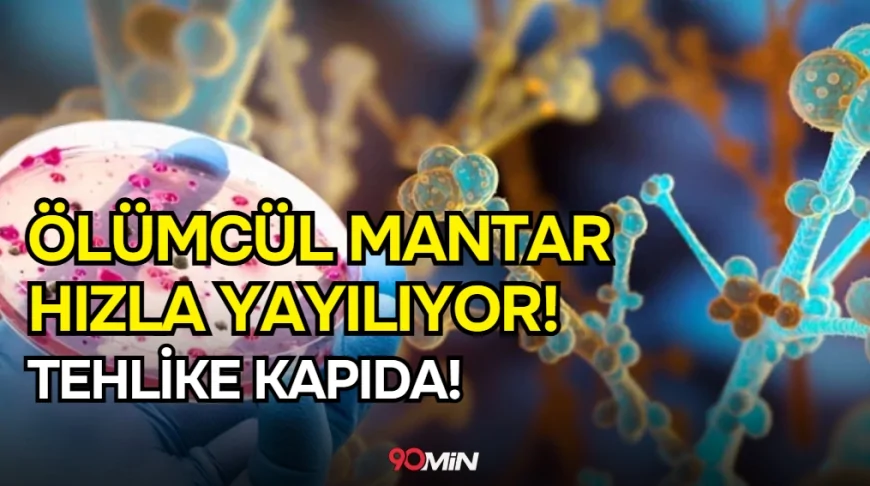 Tehlike Kapıda! Ölümcül Mantar Türü 61 Ülkeye Yayıldı!