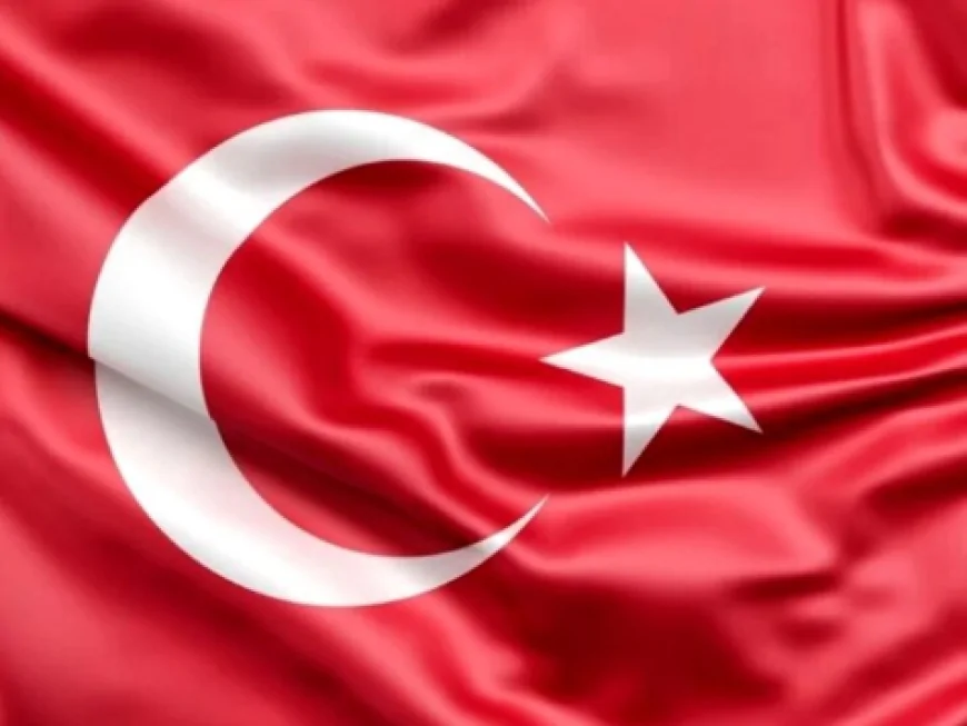 Türk Bayrağına Yönelik Provokasyon Girişimi: Nusaybin Sınır Hattında Yaşanan Olayların Detayları