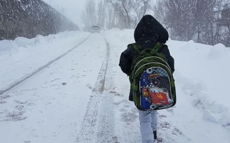 Van Okullar Tatil mi? 4 Şubat Çarşamba Van Valiliği Kar Tatili Haberi
