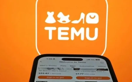 TEMU Türkiye’de Şirket mi Kurdu? Yeni Sistemle Fiyatlar ve Teslimat Süreci Nasıl Olacak?