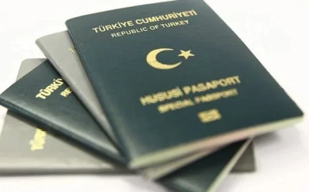 Veterinerlere Yeşil Pasaport Hakkı Geliyor mu? TBMM'ye Sunulan Teklifin Ayrıntıları