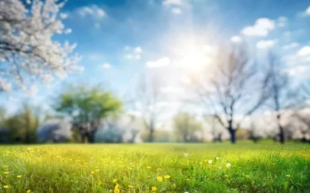 Nevruz Bayramı ne zaman? 2026 Nevruz Bayramı resmi tatil mi olacak?