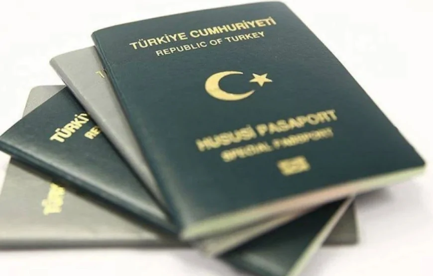 Veterinerlere Yeşil Pasaport Hakkı Geliyor mu? TBMM'ye Sunulan Teklifin Ayrıntıları